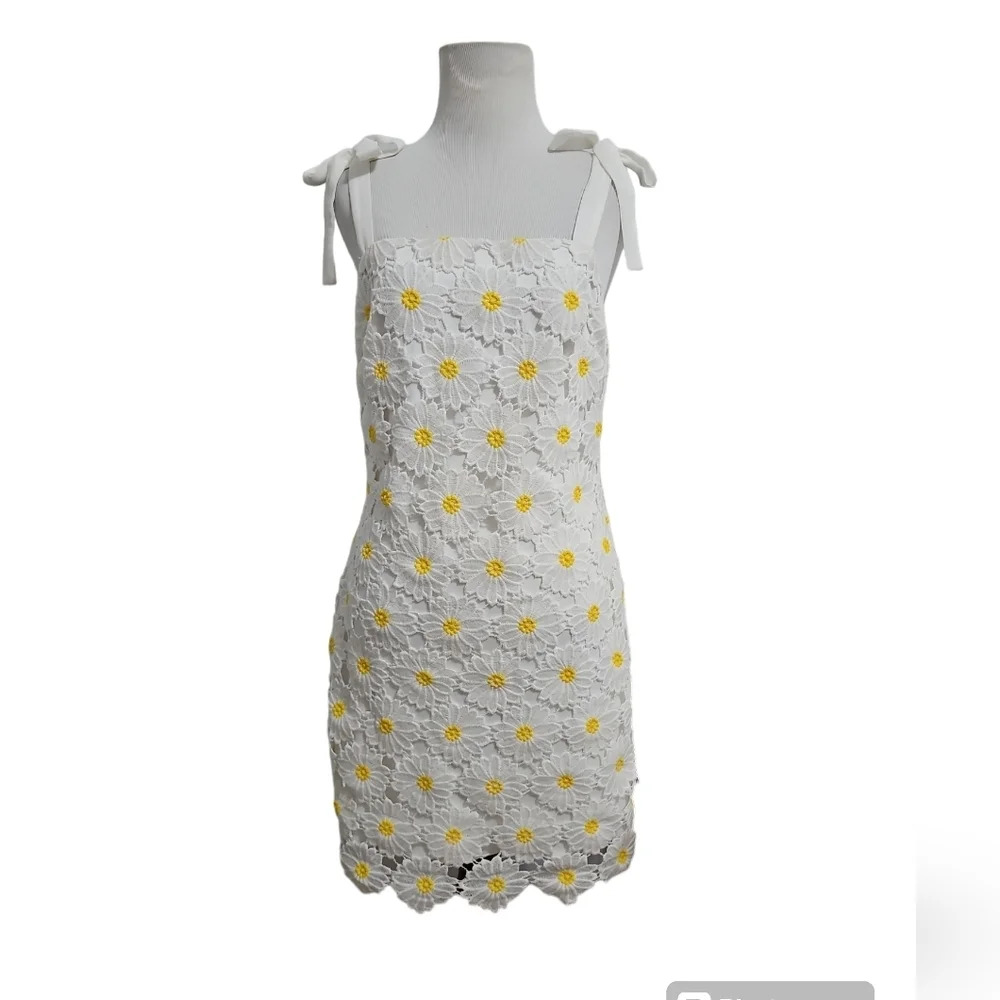 COPY - Altar'd State Daisy Dress - Picture 4 of 5